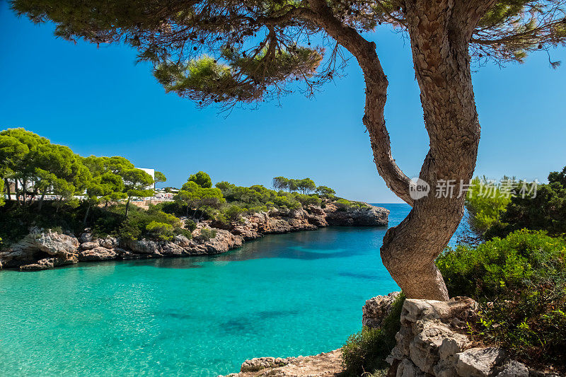 欧洲西班牙巴利阿里群岛马略卡岛东南海岸Cala d'Or的Cala Esmerelda绿宝石水域